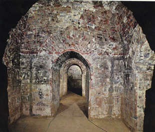 ���ָ����Ĺ�ڻ�